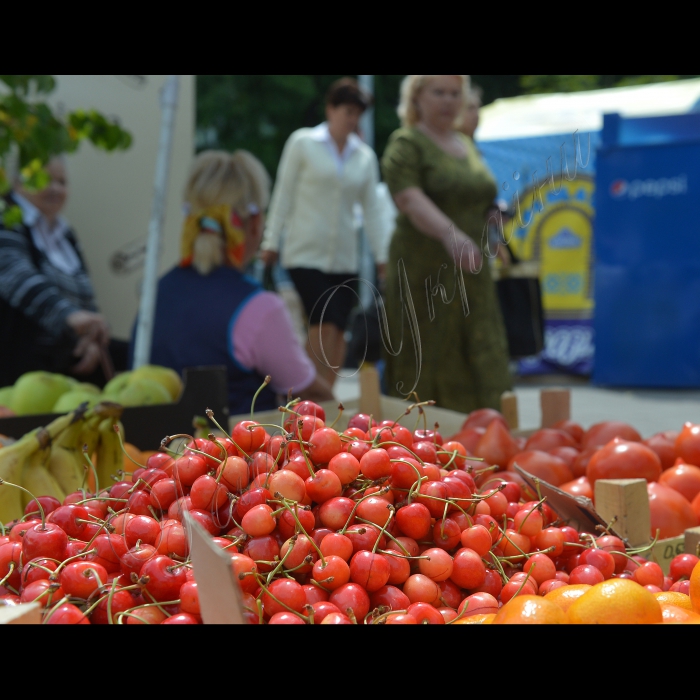 Київ, продаж черешні.  Вулична торгівля