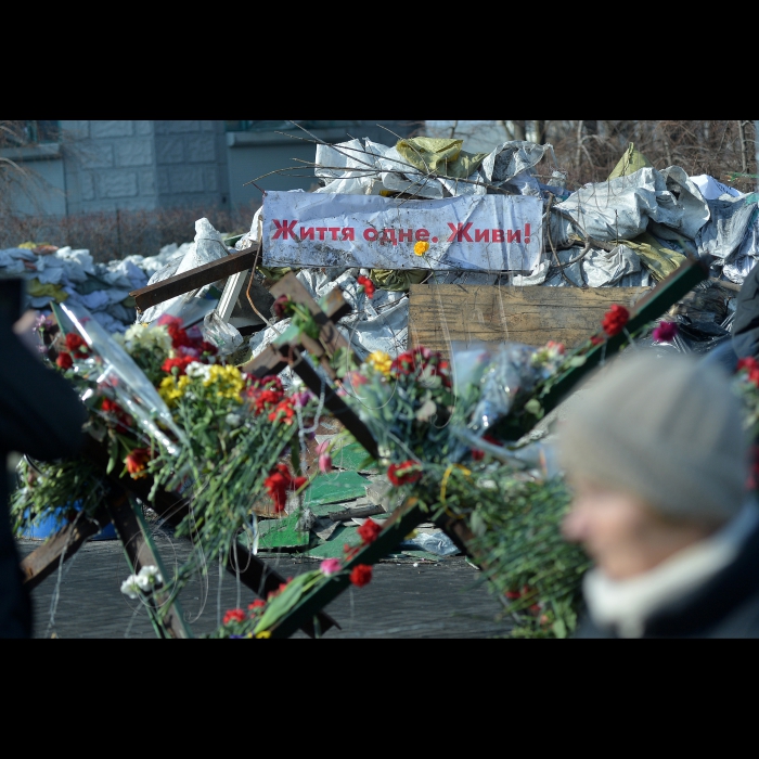 Київ. Євромайдан, Майдан Незалежності, вул. Інститутська, вул. Банкова.
Квіти загиблим.
