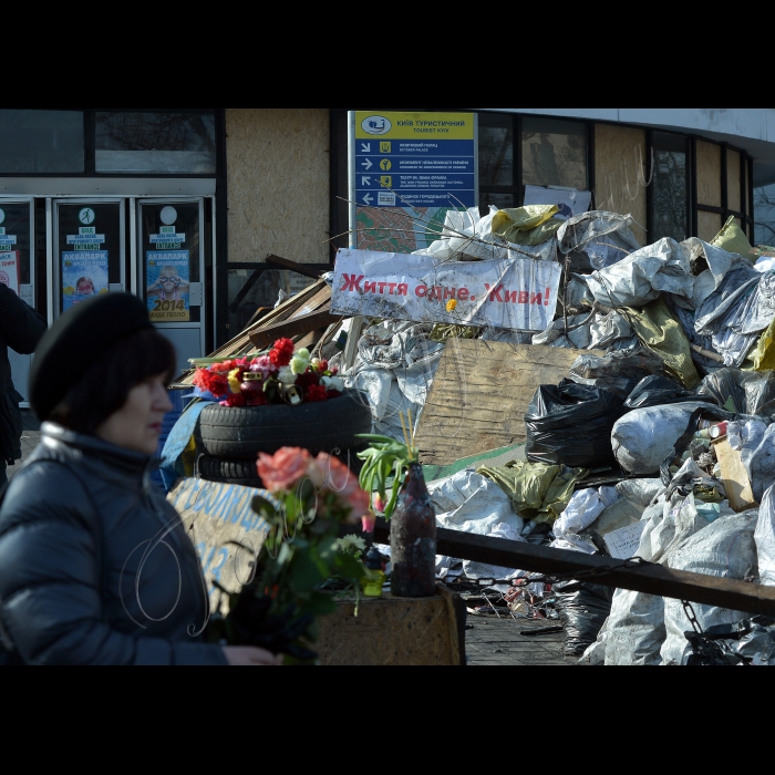 Київ. Євромайдан, Майдан Незалежності, вул. Інститутська, вул. Банкова.
Квіти загиблим.
