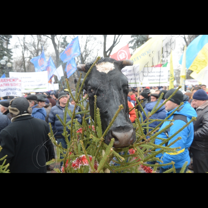 Під Верховною Радою відбулася масштабна акція протесту аграріїв: 
«Не дамо знищити Україну! Немає села – немає держави!». 
Аграрії обіцяють вивести під стіни парламенту 15 тисяч фермерів, жителів села та міста