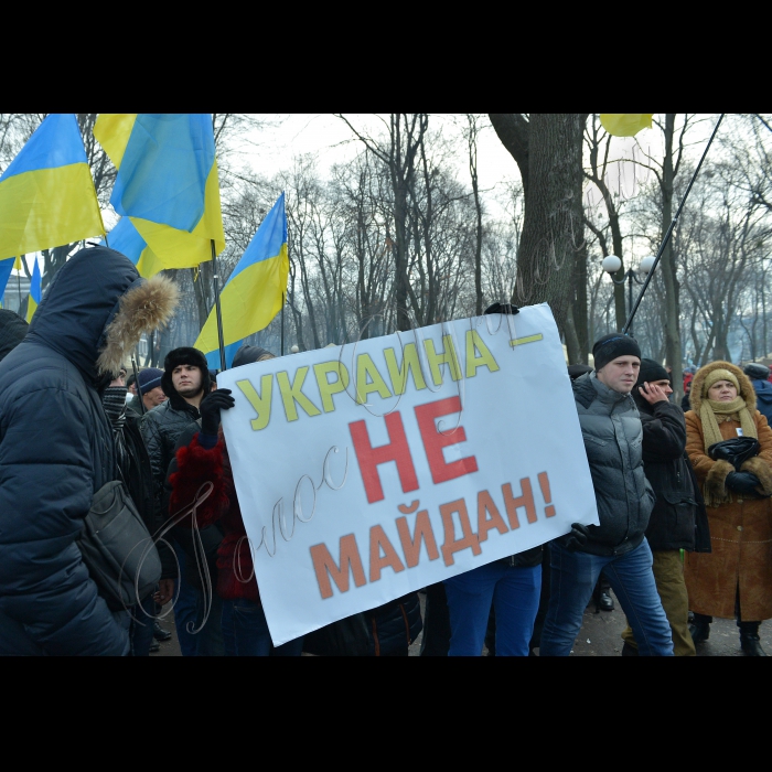 Київ. Мітинг прихильників Партії регіонів у Маріїнському парку. 