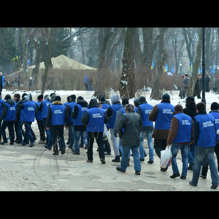 Київ. Мітинг прихильників Партії регіонів у Маріїнському парку. 