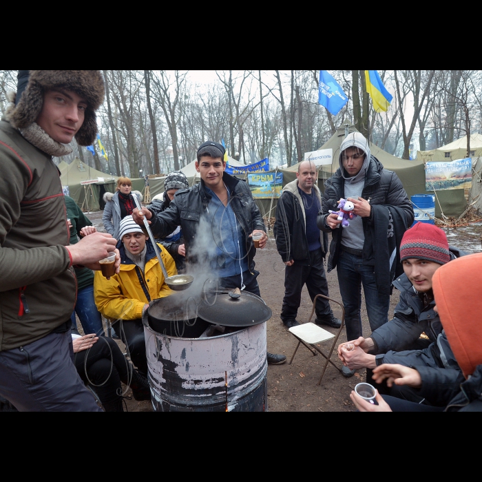 Київ. Мітинг  прихильників Партії регіонів у Маріїнському парку. 