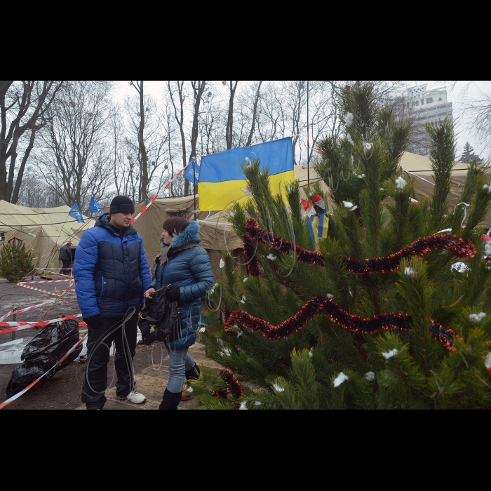 Київ. Мітинг  прихильників Партії регіонів у Маріїнському парку. 