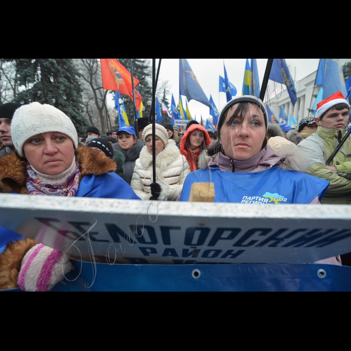 Київ. Мітинг  прихильників Партії регіонів у Маріїнському парку. 