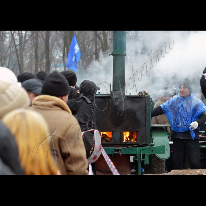 Київ. Мітинг  прихильників Партії регіонів у Маріїнському парку. 