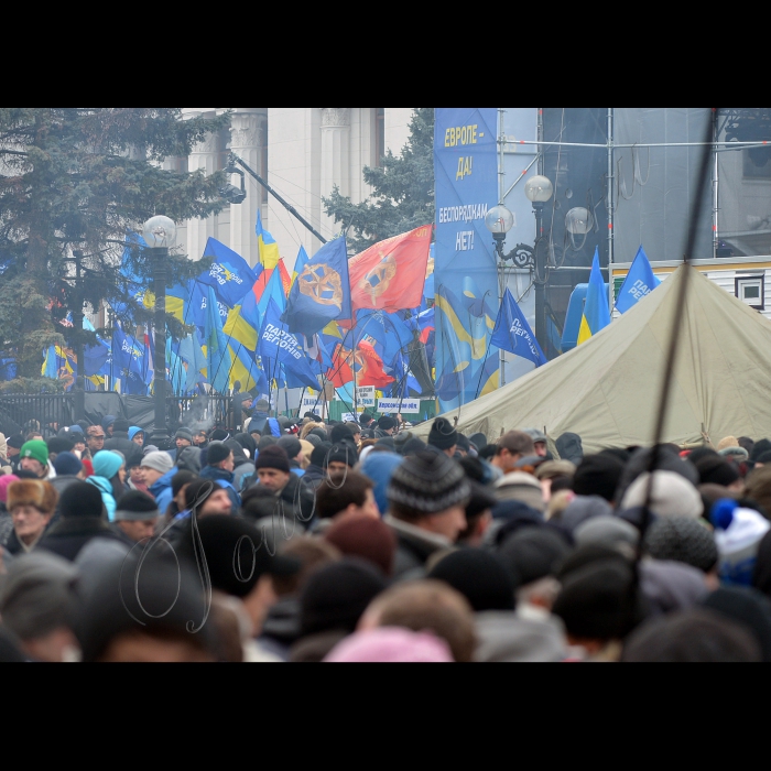 Київ. Мітинг  прихильників Партії регіонів у Маріїнському парку. 