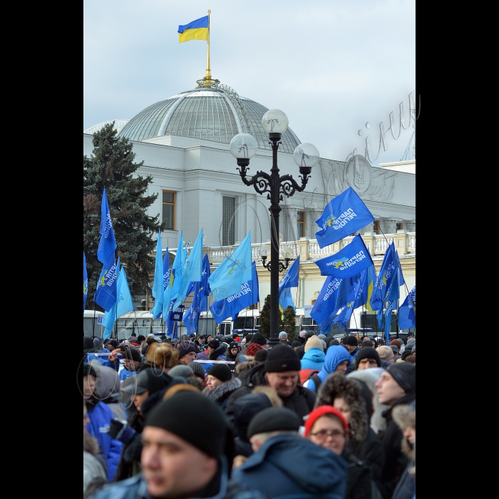 Київ. Маріїнський парк. Акція прихильників Партії регіонів на підтримку діючої влади.