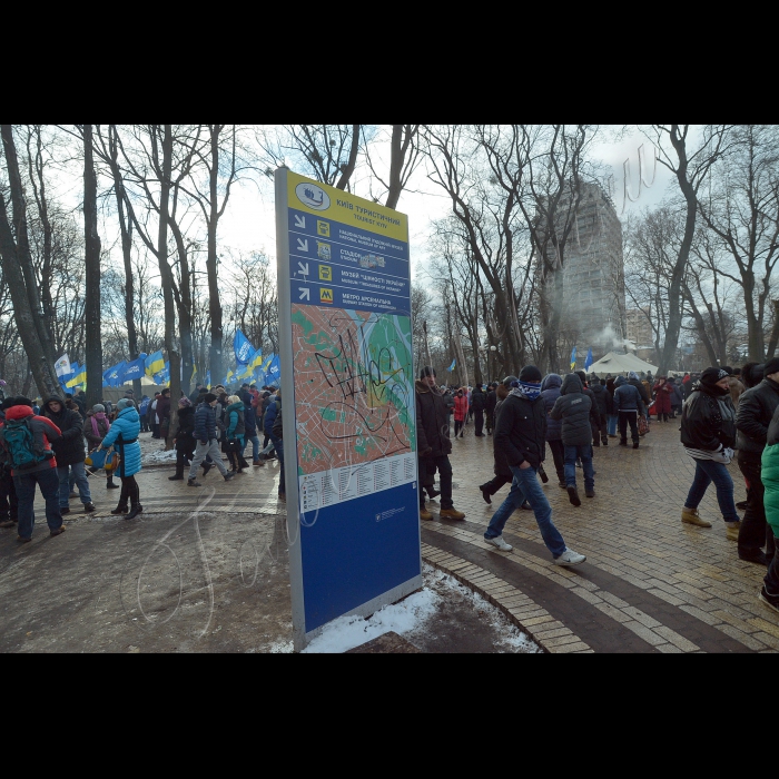 Київ. Маріїнський парк. Акція прихильників Партії регіонів на підтримку діючої влади.