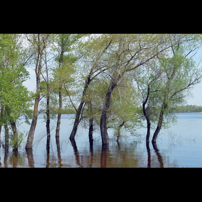 Шевченківський національний музей-заповідник у м. Канів Черкаської області.