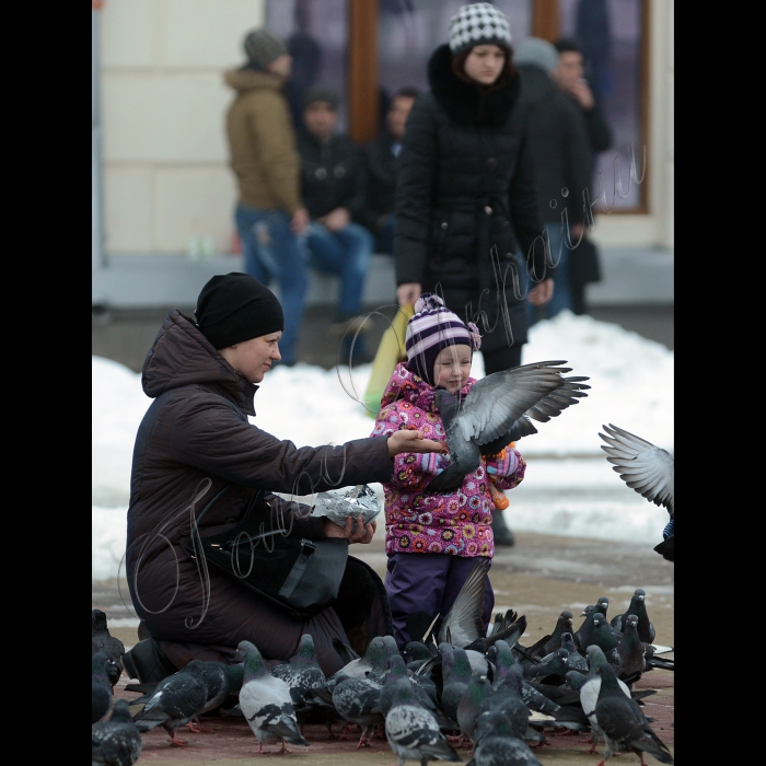 Тернопіль. Зима. 