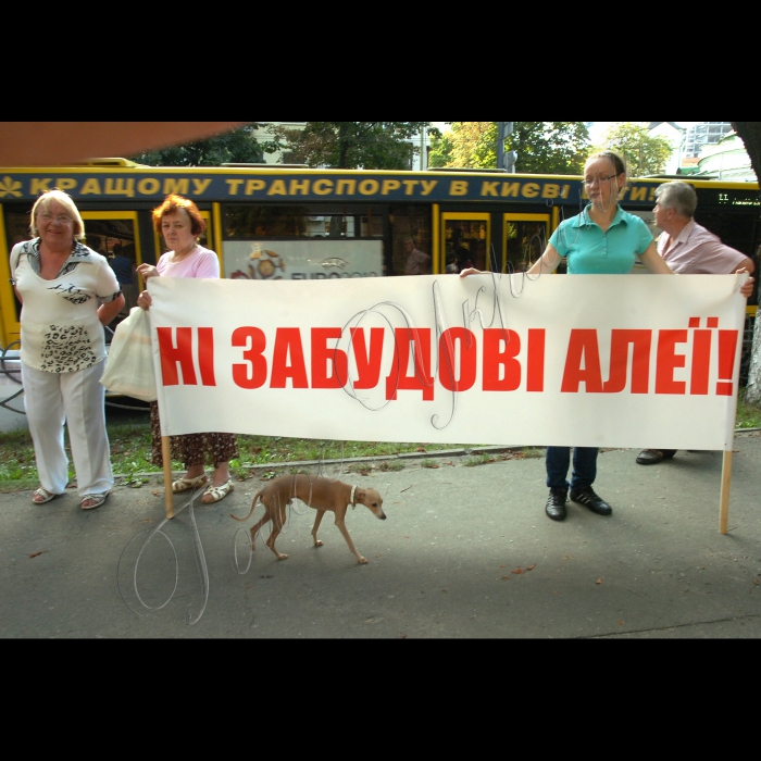 На вулиці Московській на Печерську о 17.00 відбулися збори киян, обурених знищенням алеї по вулиці Московській та будівництвом паркінгу на ній.
Мешканці, узявшись за руки, утворили захисне коло навкруг Печерської алеї.
