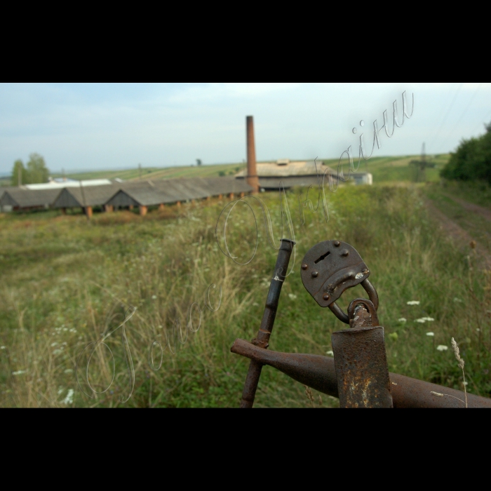 Тернопільська область, Підгайці. 