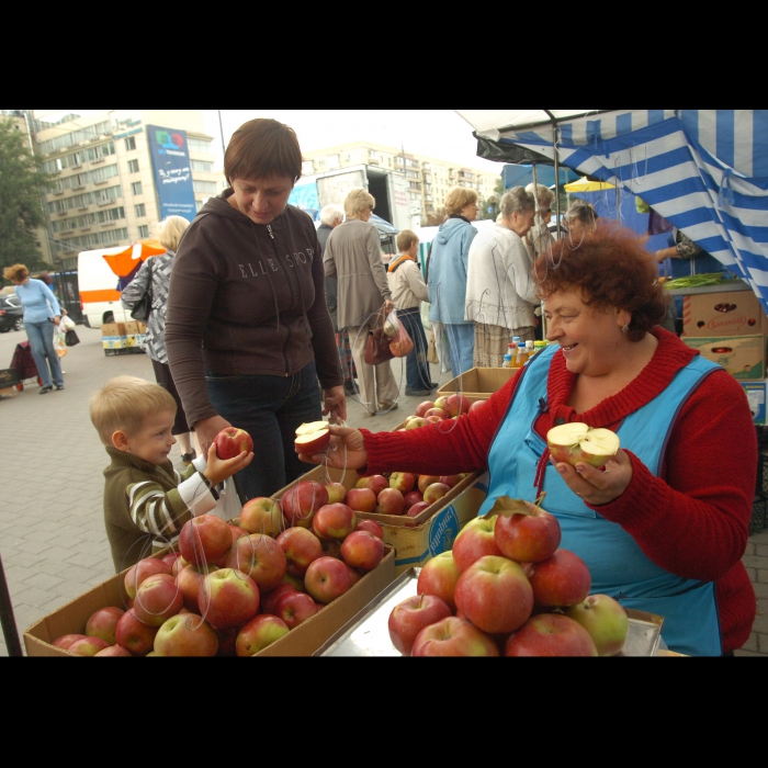 Ярмарок на площі Лесі Українки, продаж яблук, меду. 