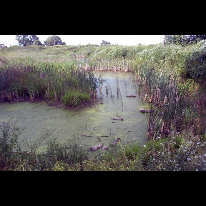 Село Озера, Бородянський район.