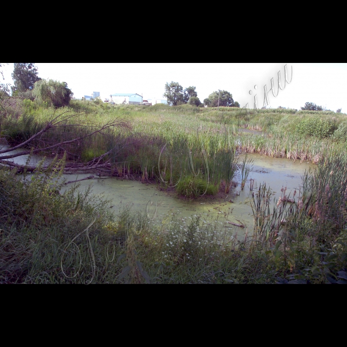 Село Озера, Бородянський район.