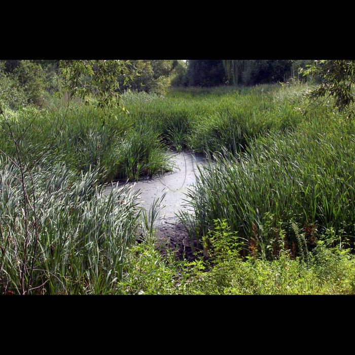 Село Озера, Бородянський район.