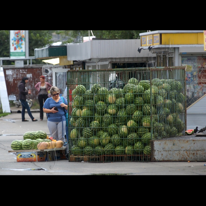 Київ, продаж кавунів.