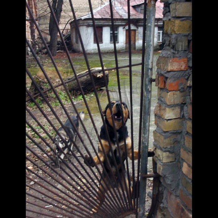 Київ, вул. Пушкінська.
Голова комісії Київради з питань культури та туризму, член Українського товариства пам’яток історії та культури Олександр Бригинець провів сталкер-екскурсію  “За 10 кроків від Хрещатика”
