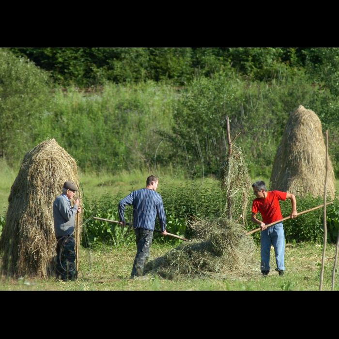 Закарпатська область.
Рахівський район.
Карпатський біосферний заповідник.
