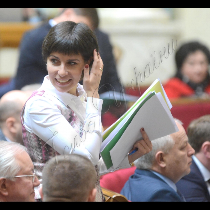 28 березня 2016 р. Пленарне засідання Верховної Ради України. Вікторія Пташник позафр.