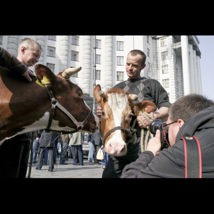 8 квітня 2016. Під стінами Кабміну лідер Радикальної партії Олег Ляшко взяв участь у акції протесту з вимогою збільшити закупівельні ціни на молоко. Нардеп неодноразово виступав з трибуни Верховної Ради з даною ініціативою. 
