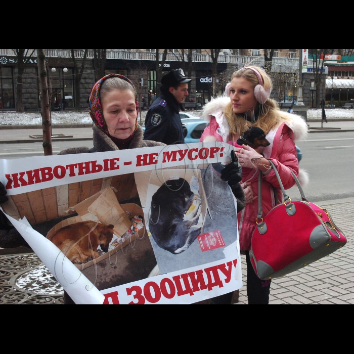 Сьогодні під стінами КМДА захисники тварин провели мітинг проти жорстокого поводження із тваринами.
Учасники акції стурбовані фактами насильницьких смертей собак у дворах, які, на думку захисників тварин, в муках вмирають від спеціально розкиданої отрути.