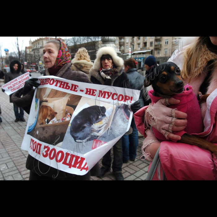 Сьогодні під стінами КМДА захисники тварин провели мітинг проти жорстокого поводження із тваринами.
Учасники акції стурбовані фактами насильницьких смертей собак у дворах, які, на думку захисників тварин, в муках вмирають від спеціально розкиданої отрути.