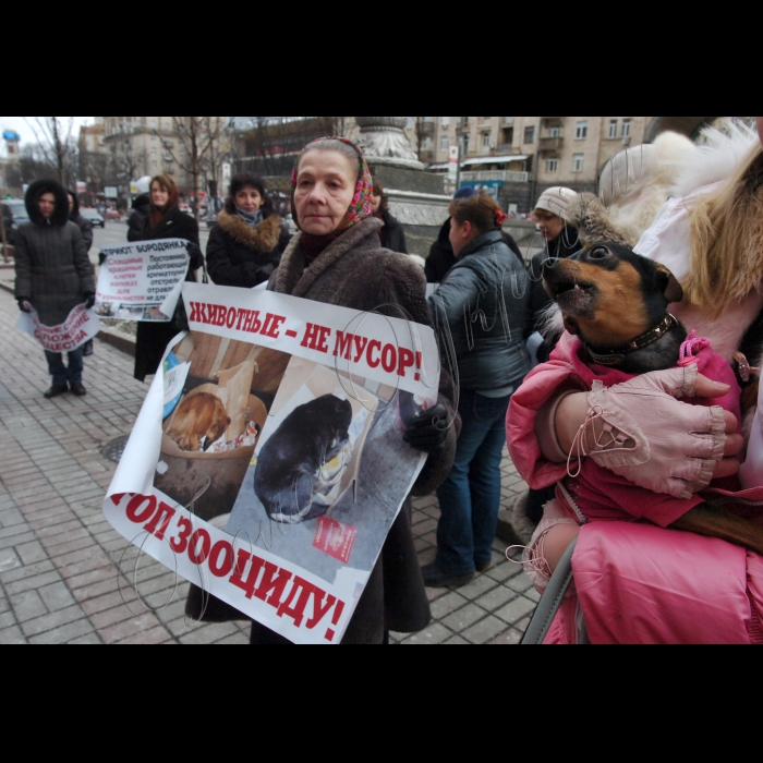 Сьогодні під стінами КМДА захисники тварин провели мітинг проти жорстокого поводження із тваринами.
Учасники акції стурбовані фактами насильницьких смертей собак у дворах, які, на думку захисників тварин, в муках вмирають від спеціально розкиданої отрути.