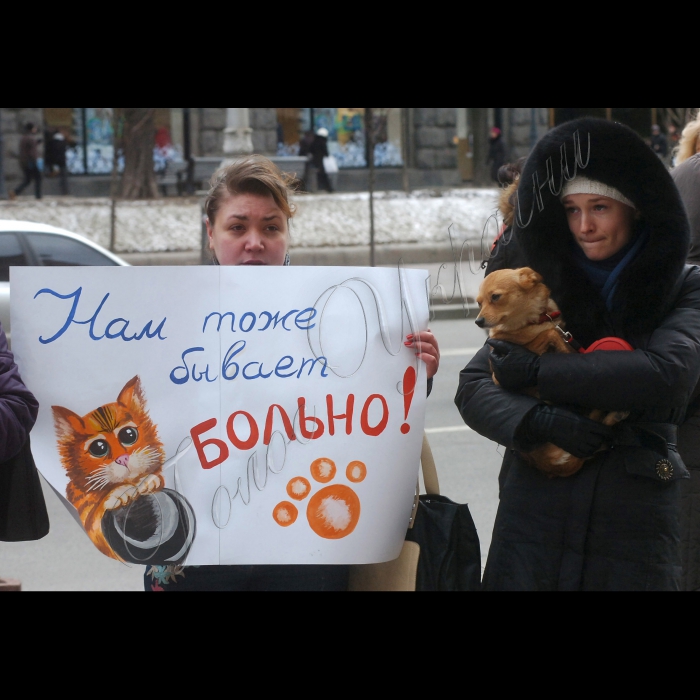 Сьогодні під стінами КМДА захисники тварин провели мітинг проти жорстокого поводження із тваринами.
Учасники акції стурбовані фактами насильницьких смертей собак у дворах, які, на думку захисників тварин, в муках вмирають від спеціально розкиданої отрути.