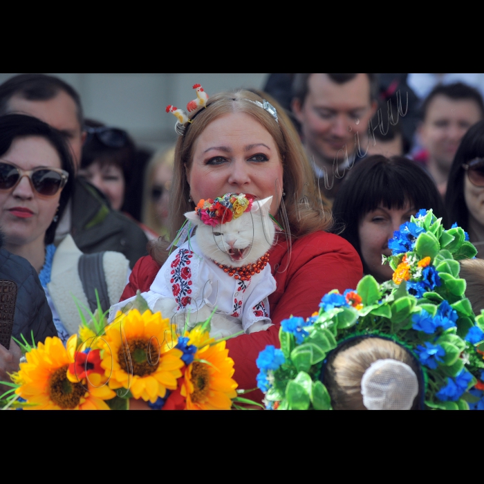 Київ. На Софійській площі відбулося урочисте відкриття VI  Всеукраїнського фестивалю писанок. Відкриватиме Фестиваль заступник голови КМДА Ганна Старостенко та засновник проекту «374 Художники» і Фестивалю писанок – Ігор Добруцький.