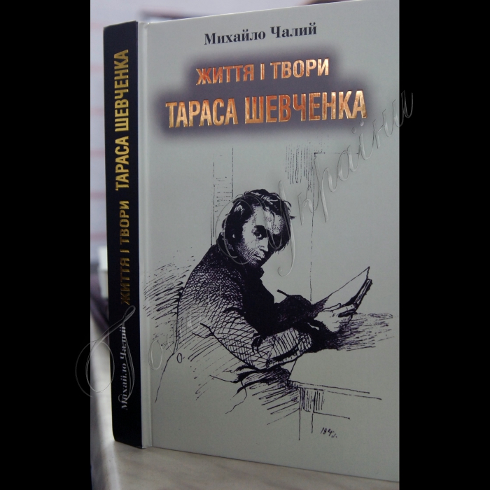 Заступник Голови Верховної Ради України Микола Томенко взяв участь у роботі VІ Весняного Київського міжнародного ярмарку «Медвін».
 
Микола Томенко презентував присутнім книгу Михайла Чалого «Життя і твори Тараса Шевченка», видану до річниці з дня народження поета. 
