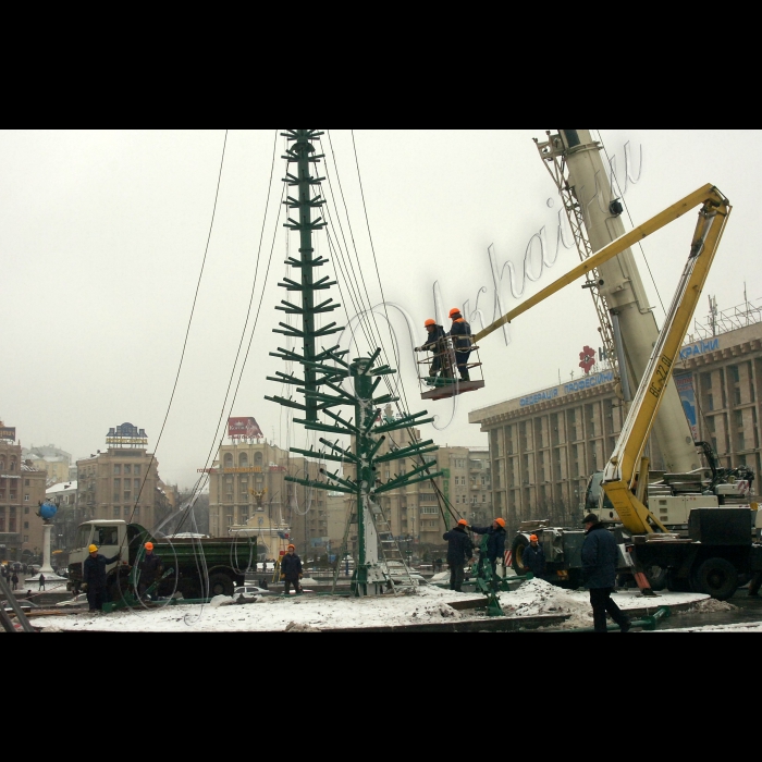 На столичному Майдані Незалежності встановлюють Новорічну ялинку.