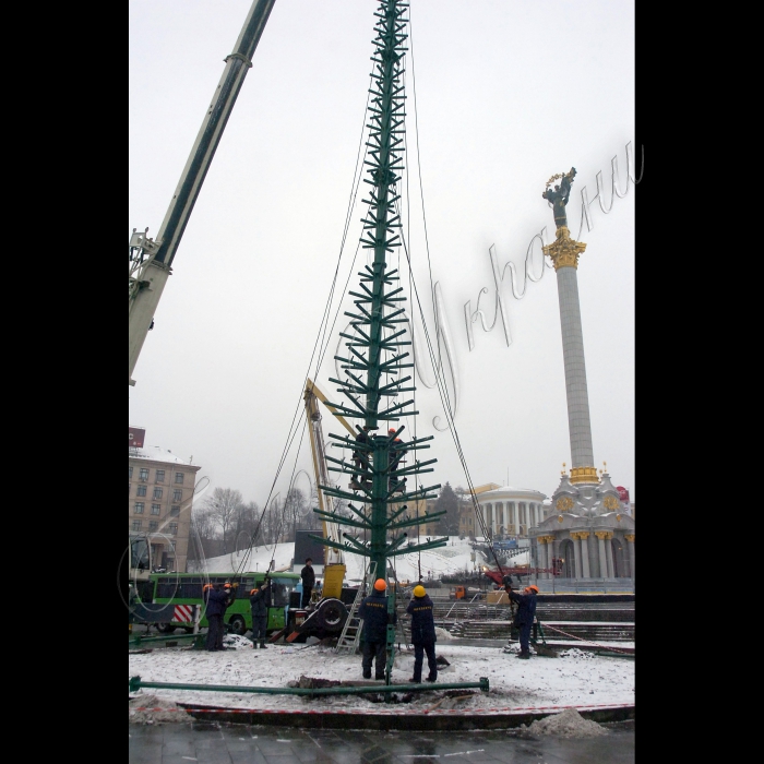 На столичному Майдані Незалежності встановлюють Новорічну ялинку.