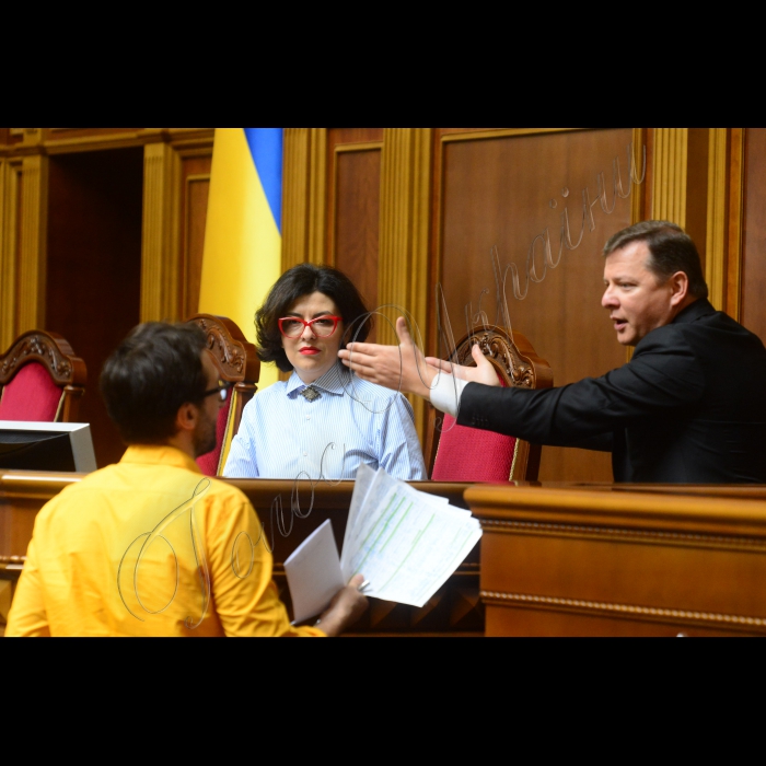 01 червня 2016. Пленарне засідання Верховної Ради України. Оксана Сироїд Олег Ляшко