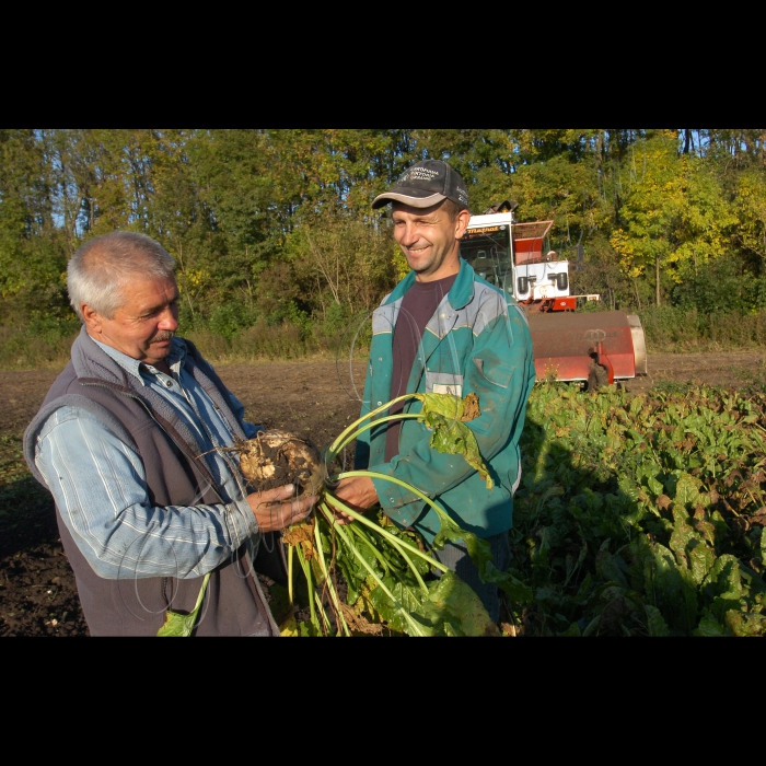 28 вересня 2010 Чортківський цукровий завод.