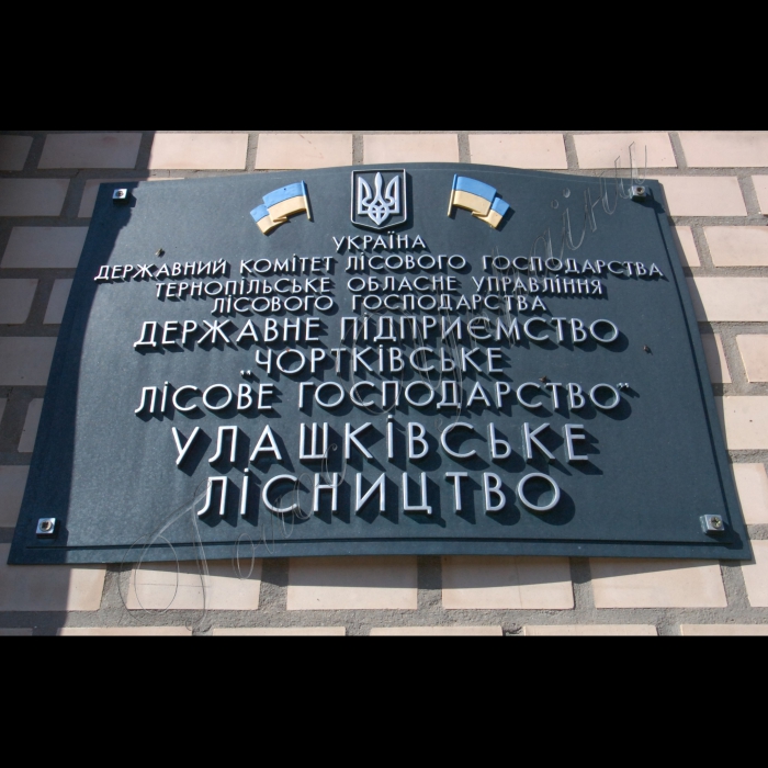 29 вересня 2010 Чортківське лісове господарство. Улашківське лісництво.