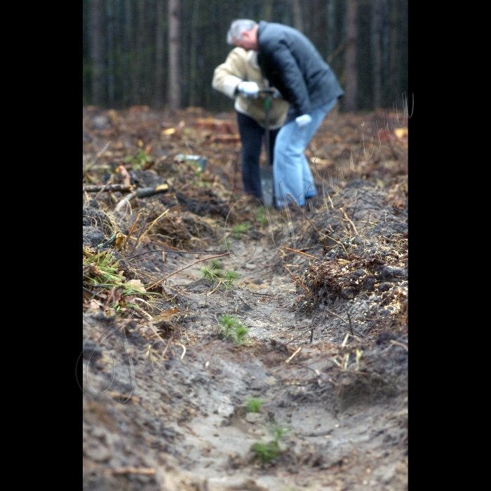 17 квітня 2010 урочисте відкриття завершального заходу акції «Майбутнє лісу в твоїх руках». Організатор - Держкомлісгосп. У  заході візьмуть участь представники КМУ, міністерств, інших центральних органів виконавчої влади, громадських організацій та учні шкільного лісництва середньої освітньої школи села Нежиловичі.