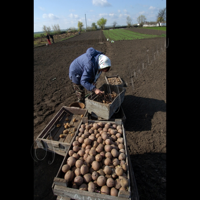 22-23 квітня 2010 Білоцерківський район, село Матюші.
ТОВ агрофірма «Матюші».