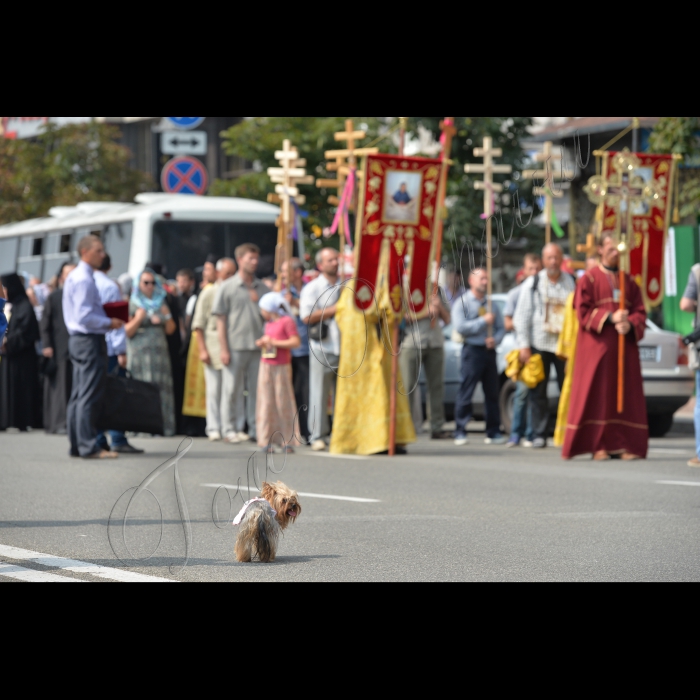 27 липня 2016 з нагоди Дня хрещення Київської Русі та 1000-ліття Давньоруського чернецтва на Святій Горі Афон  в Києві, на Європейській площі відбулася урочиста зустріч двох Хресних ходів зі Сходу та Заходу України, які очолять намісники лавр. Разом вони попрямують на Володимирську гірку. 