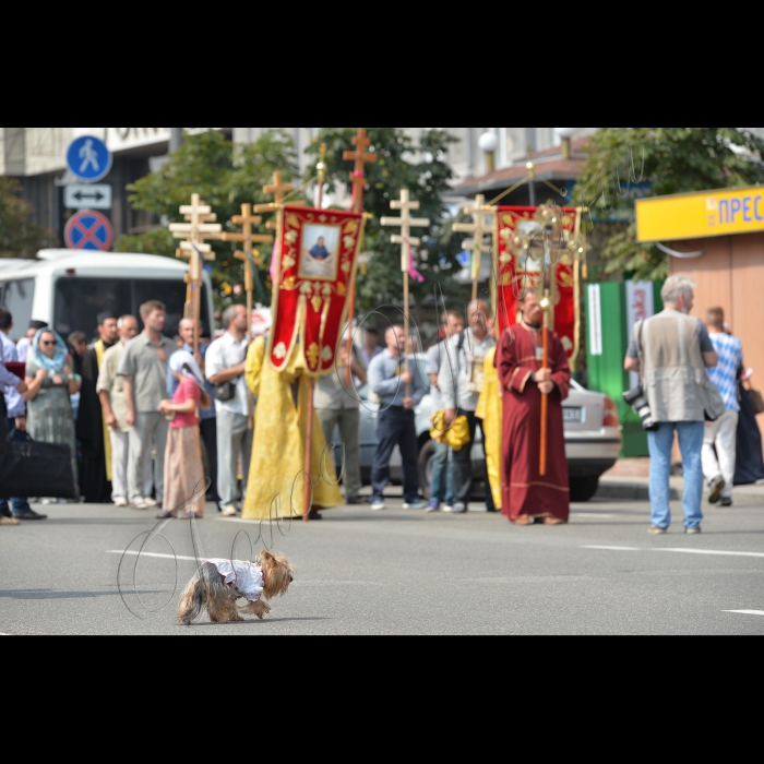 27 липня 2016 з нагоди Дня хрещення Київської Русі та 1000-ліття Давньоруського чернецтва на Святій Горі Афон  в Києві, на Європейській площі відбулася урочиста зустріч двох Хресних ходів зі Сходу та Заходу України, які очолять намісники лавр. Разом вони попрямують на Володимирську гірку. 