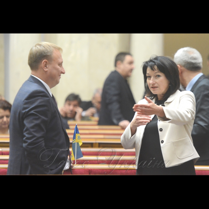 18 жовтня 2016 пленарне засідання Верховної Ради України.
Віктор Шевченко, Ірина Констанкевич (позафр.).