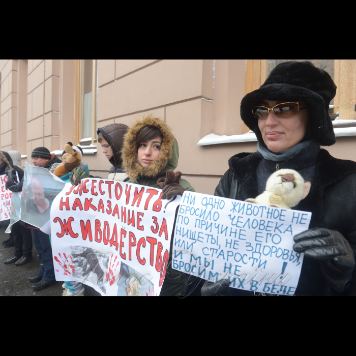 14 листопада 2016 зоозахисники пікетували засідання Погоджувальної ради Верховної Ради з вимогою негайно прийняти законопроект № 5119-1 про посилення кримінальної відповідальності за жорстоке поводження з тваринами, який встановлює покарання до 8 років позбавлення волі.