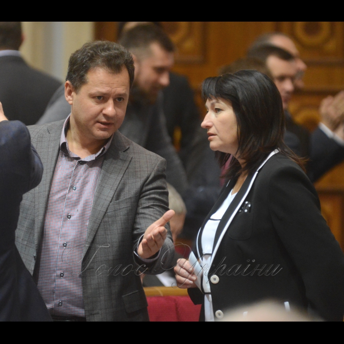 17 листопада 2016 пленарне засідання Верховної Ради України.
Тарас Батенко, Ірина Костанкевич - позафр.