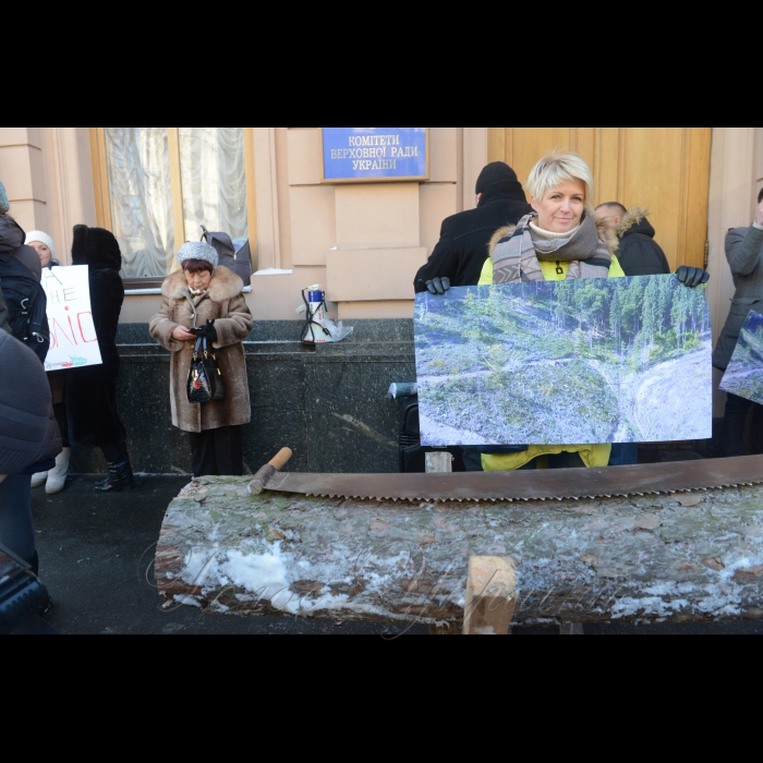 30 листопада 2016 на вул. Грушевського, 18/2 (біля 9-го під’їзду комітетів ВРУ) відбулася акція-протест проти наміру влади скасувати мораторій на експорт лісу-кругляку в обмін на 600 мільйонів євро кредиту.
Активісти з Києва, Франківщини та Львівщини розпилять та розрубають кілька дерев та продемонструють, до чого призведе самовільна вирубка дерев та варварське знищення лісу. Акція відбуватиметься напередодні круглого столу «Мораторій на експорт лісу: результати та перспектива», який відбудеться у конференц-залі Верховної Ради України.