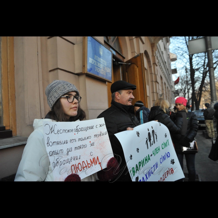 16 січня 2017 пікет на захист домашніх тварин.