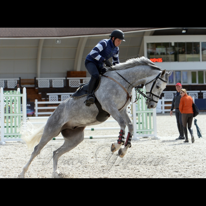 27 квітня 2017 Київська обл. с. Лісники, Кінний клуб «Equides Club». 
На найбільшій змагальній арені в Україні відбудеться презентація Програми розвитку кінного спорту та відкрите тренування перед початком наймасштабнішої серії змагань «Ukrainian Masters» в правах Конкур - (стрибки через перешкоду).