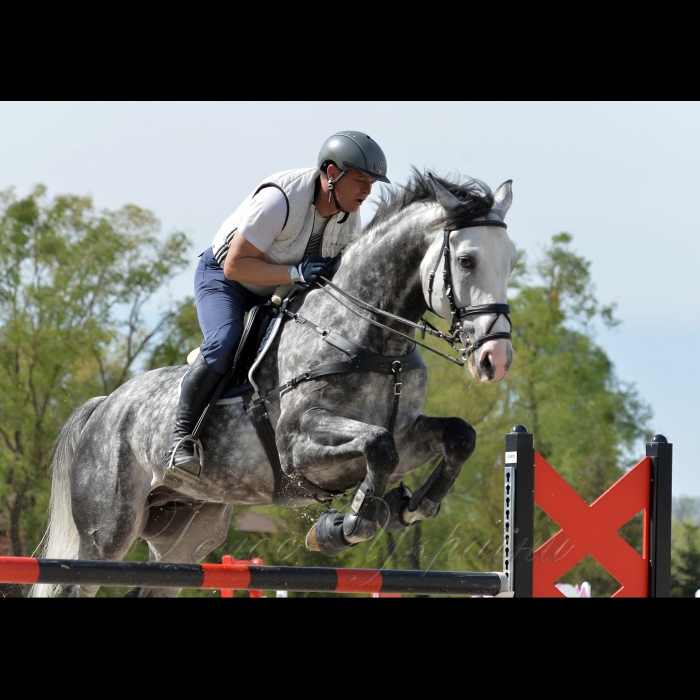 27 квітня 2017 Київська обл. с. Лісники, Кінний клуб «Equides Club». 
На найбільшій змагальній арені в Україні відбудеться презентація Програми розвитку кінного спорту та відкрите тренування перед початком наймасштабнішої серії змагань «Ukrainian Masters» в правах Конкур - (стрибки через перешкоду).