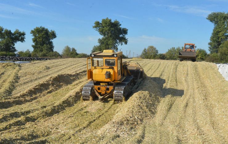 Виїзна нарада за участю виробничників та очільників господарств Національного університету біоресурсів і природокористування України, яка відбулася в НДГ «Великоснітинське».