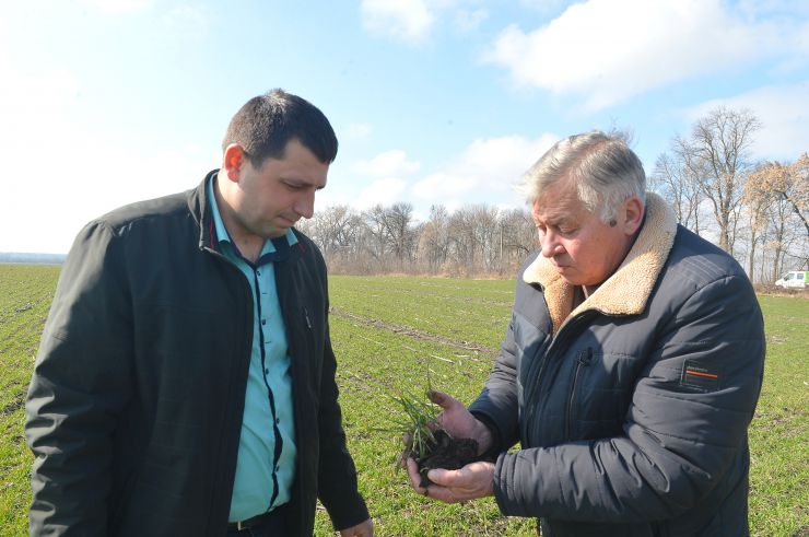 Посівна у НДГ Великоснітинське
Відокремлений підрозділ Національного університету біоресурсів і природокористування «Великоснітинське навчально-дослідне господарство ім. О.В.Музиченка» повним ходом сіє ячмінь, далі на черзі овес, соняшник, кукурудза, сорго та інші ярі культури.  Вже відбулося перше підживлення озимини на всіх засіяних площах. Зараз посіви боронуються роторною бороною, щоб забезпечити активне дихання і розвиток рослин.
Начальник відділу організаційної діяльності НДГ, Боярської ЛДС та навчально-виробничої практики Микола Грунтковський директор господарства Микола Журавель
